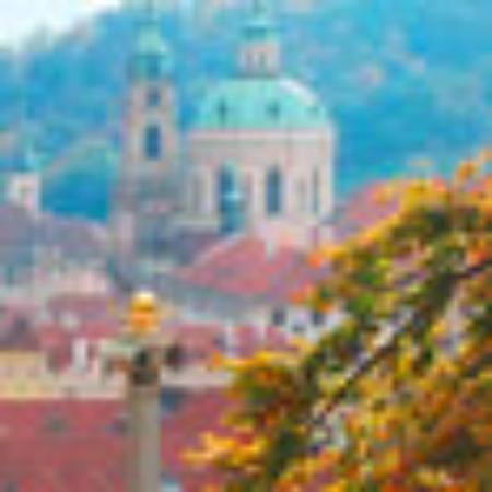 Pizzeria Fuori Campo